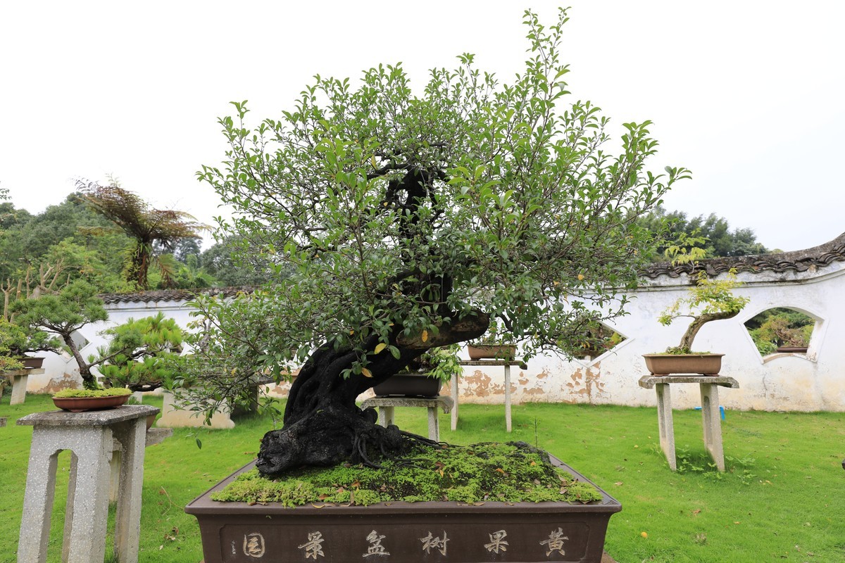 贵州行边走边拍美丽山水02