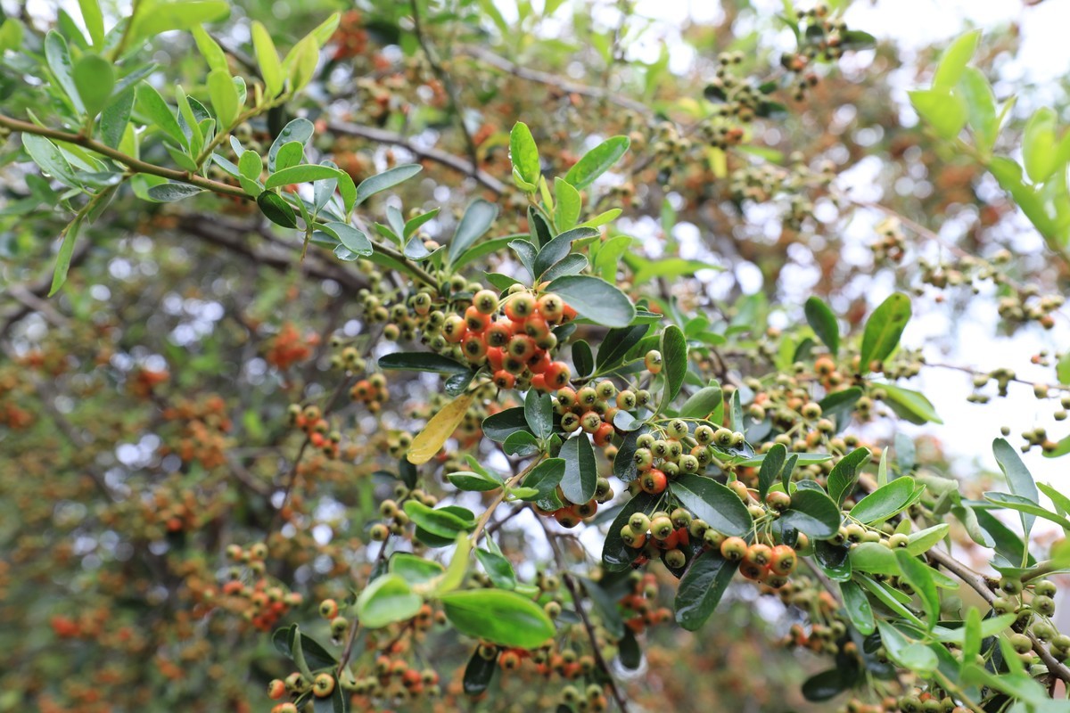 贵州行边走边拍美丽山水02
