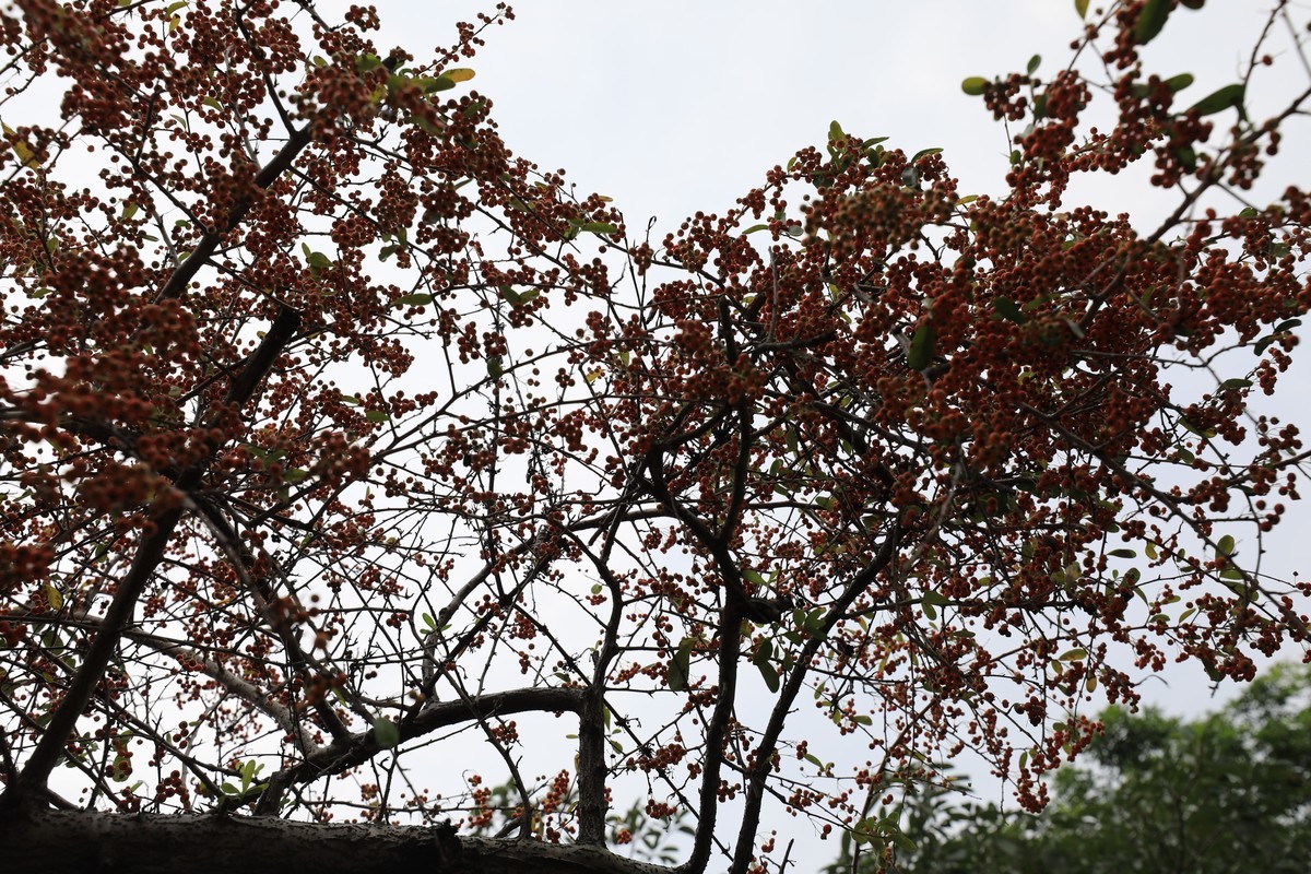 贵州行边走边拍美丽山水02