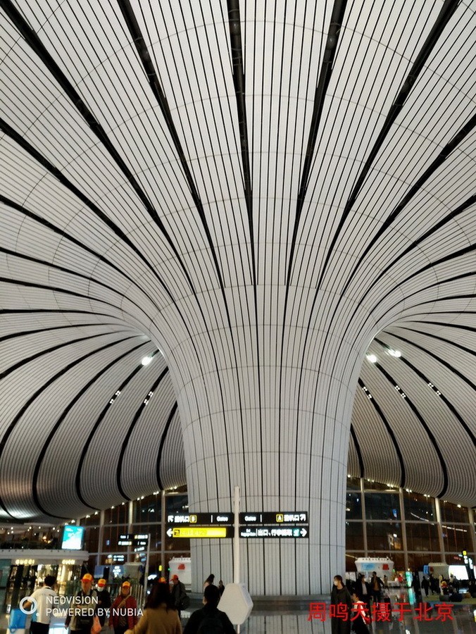 21年北京天坛      周鸣天