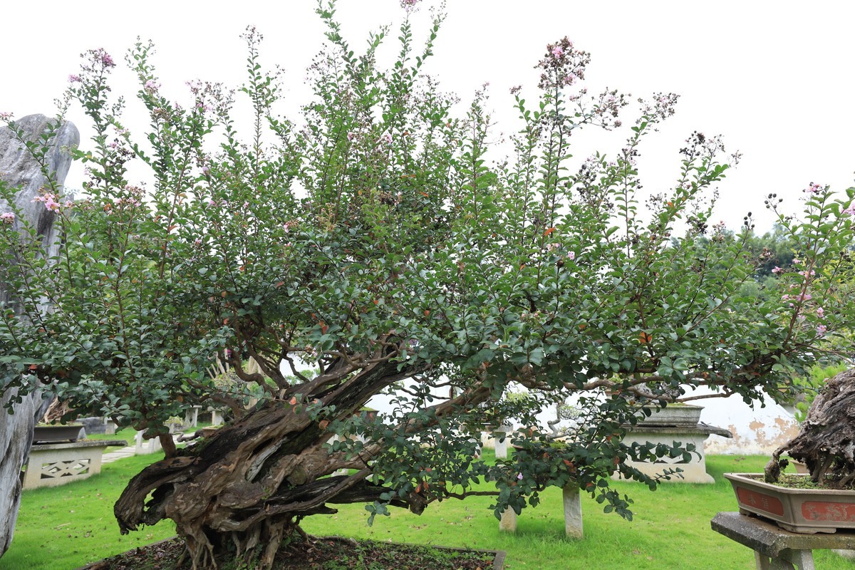 贵州行边走边拍美丽山水02