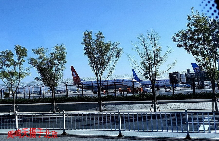 21年北京天坛      周鸣天