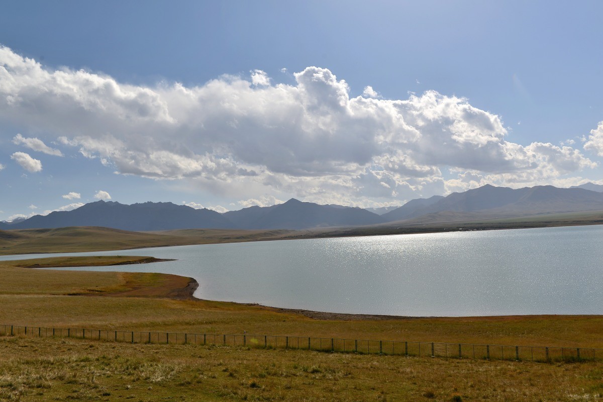 第一军马场一斑