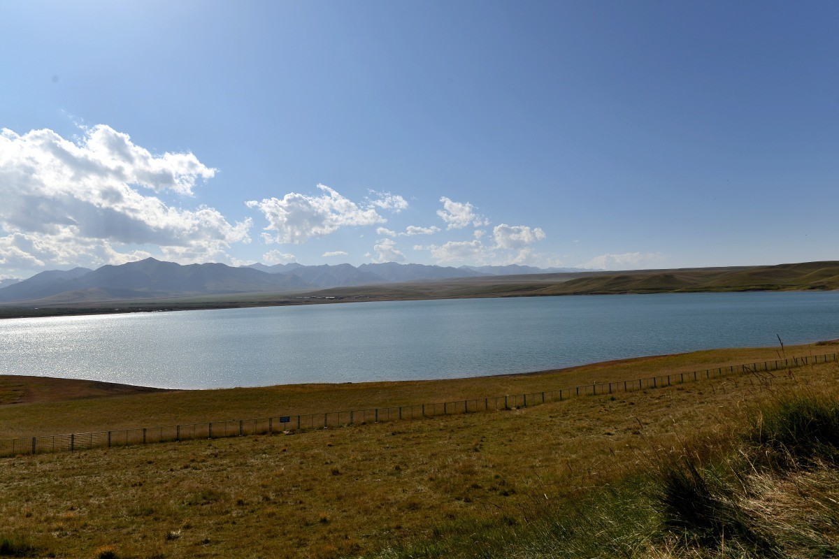 第一军马场一斑