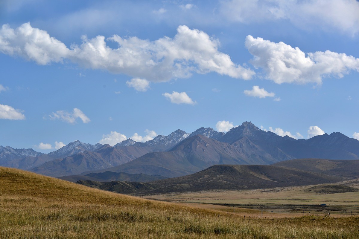 第一军马场一斑