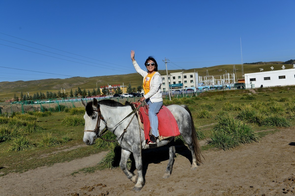 第一军马场一斑