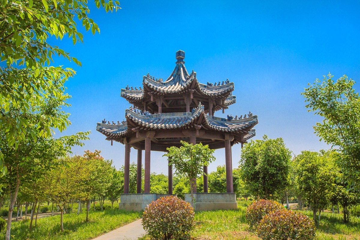 2021-02-13扬州芍药园