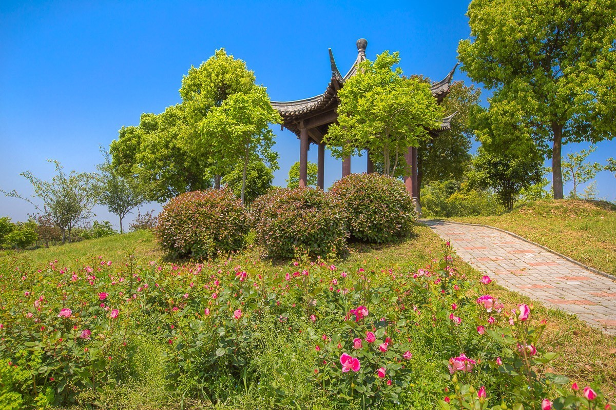 2021-02-13扬州芍药园