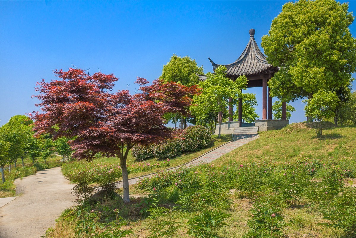 2021-02-13扬州芍药园