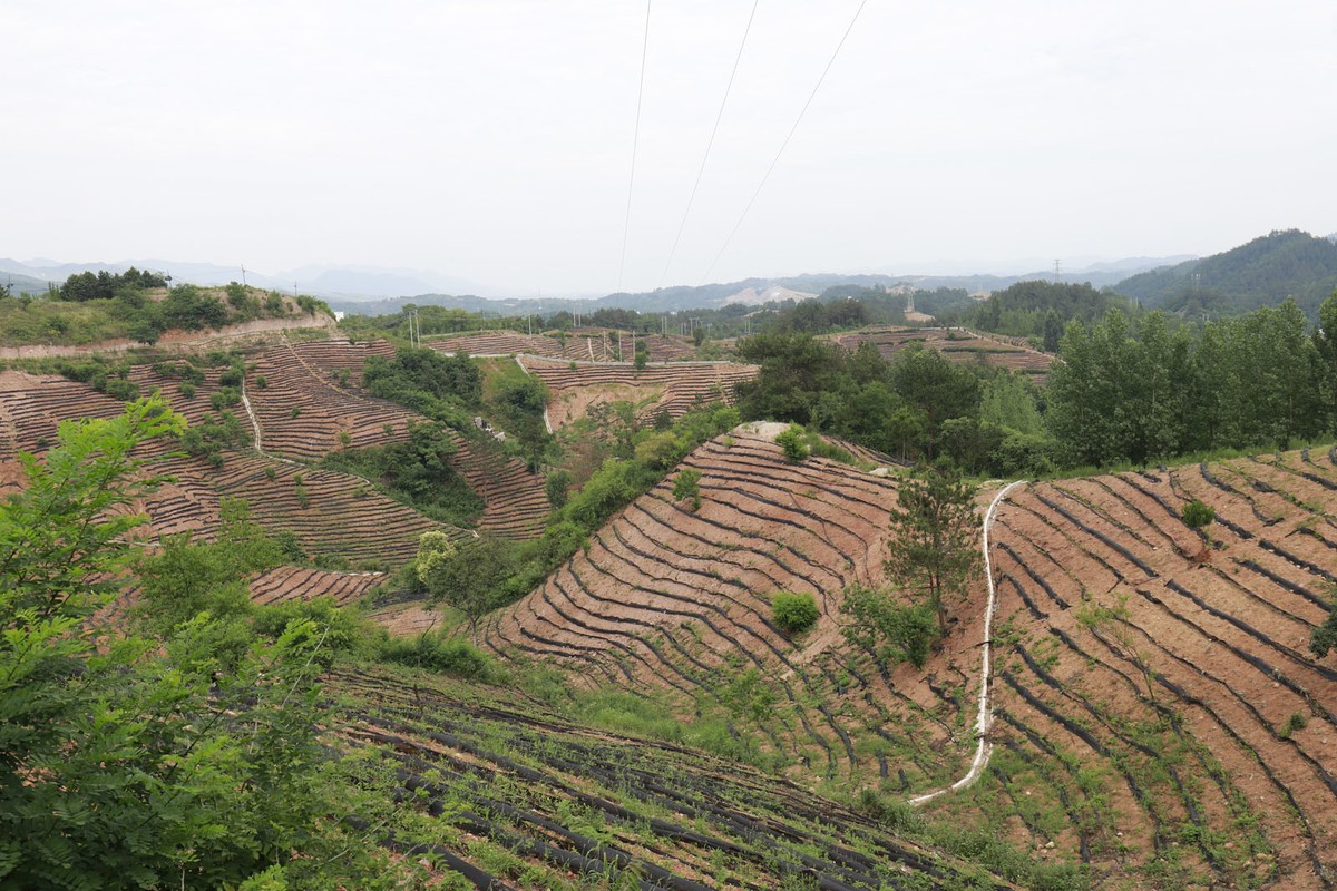 陕西商南的山山水水