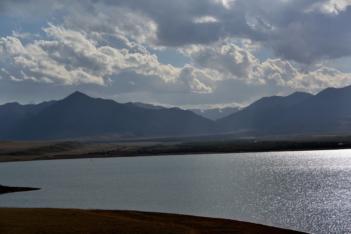 第一军马场一斑