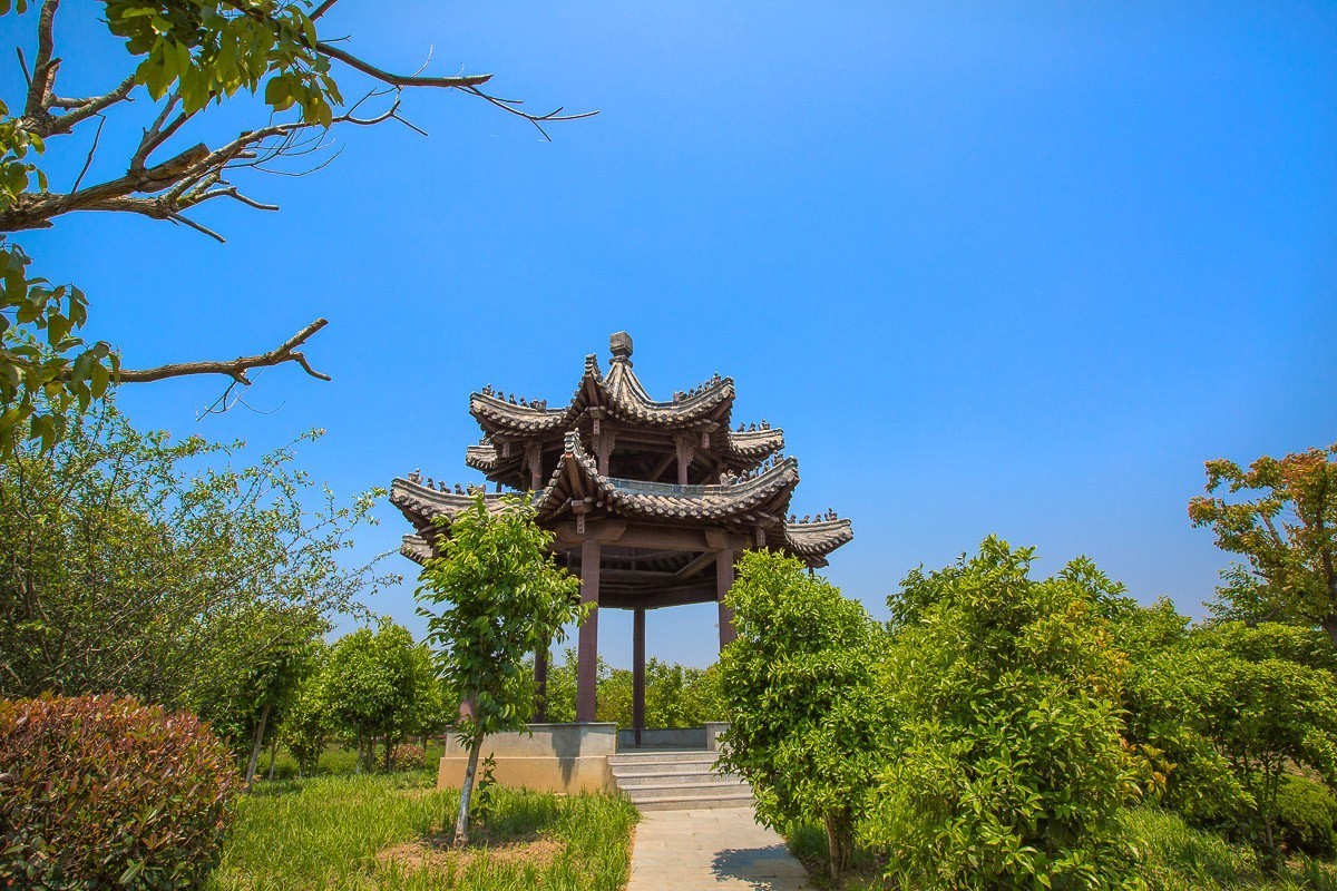 2021-02-13扬州芍药园