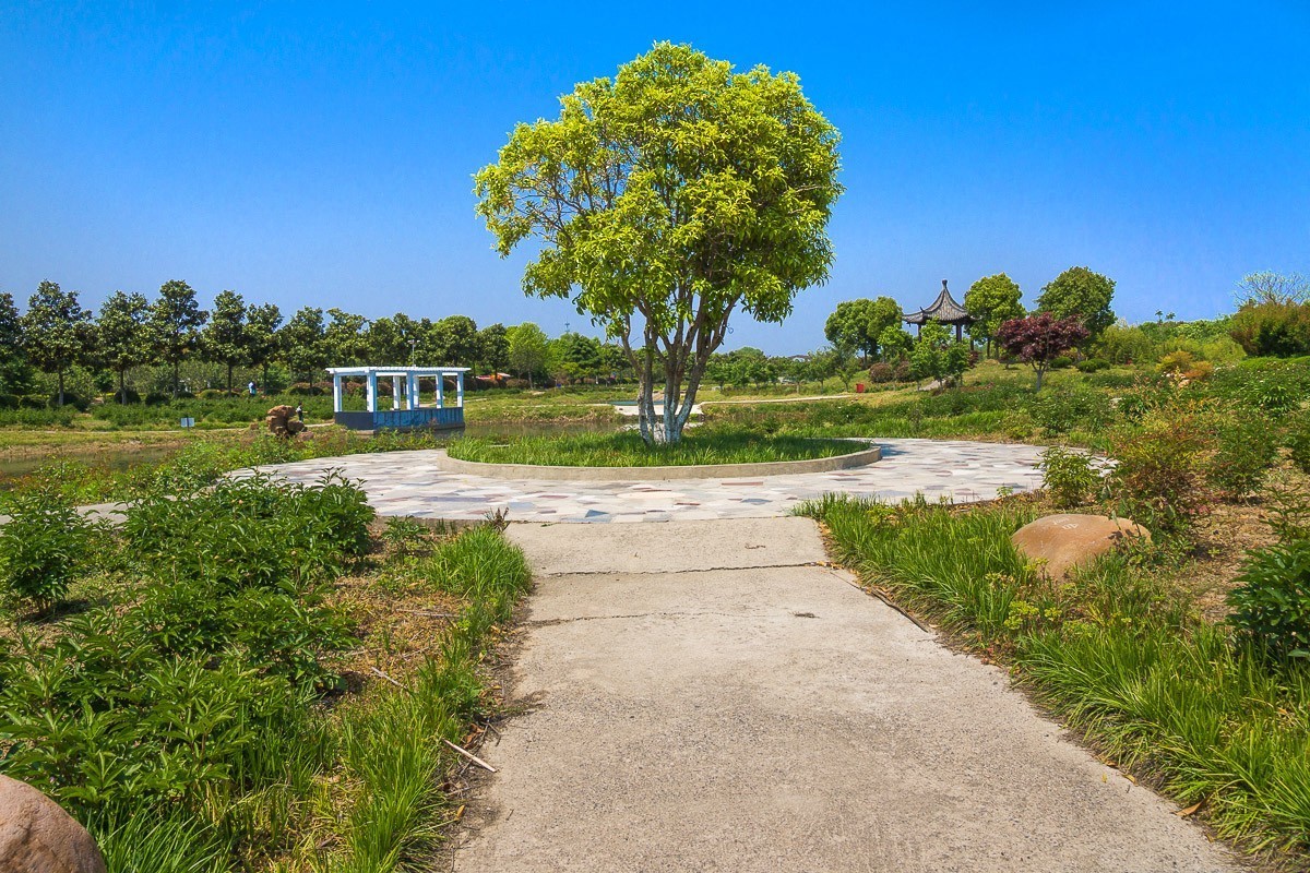 2021-02-13扬州芍药园