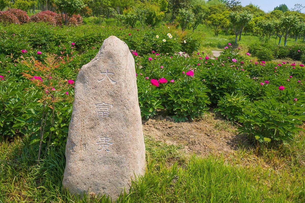 2021-02-13扬州芍药园