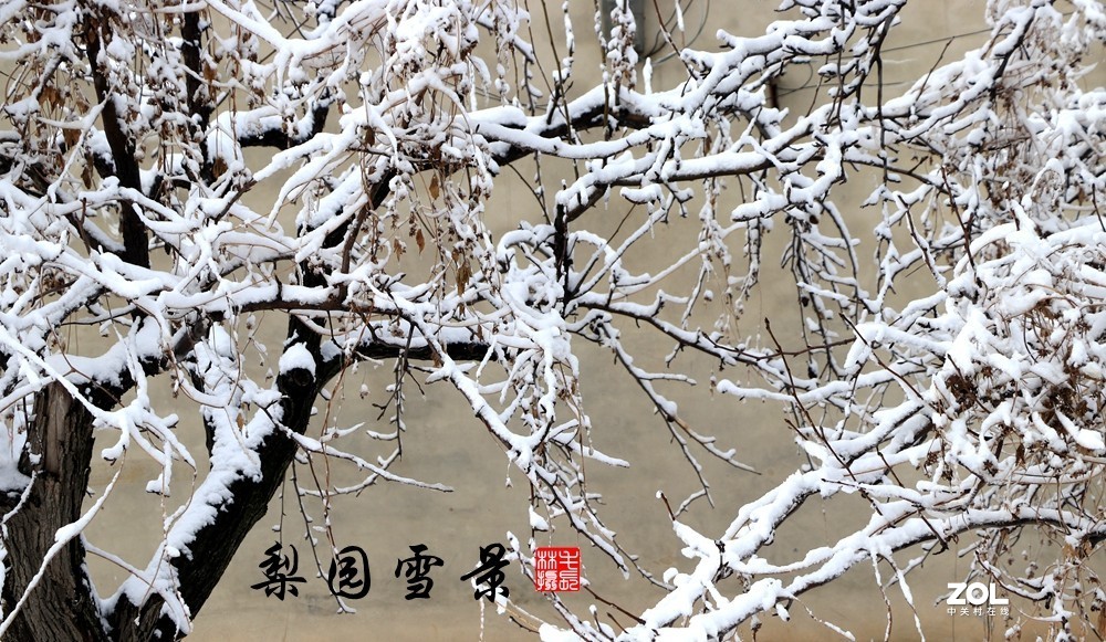 梨园雪景