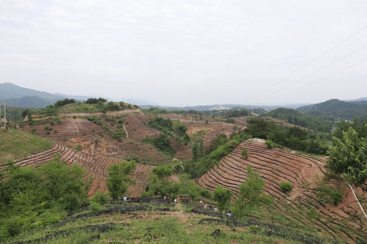 陕西商南的山山水水