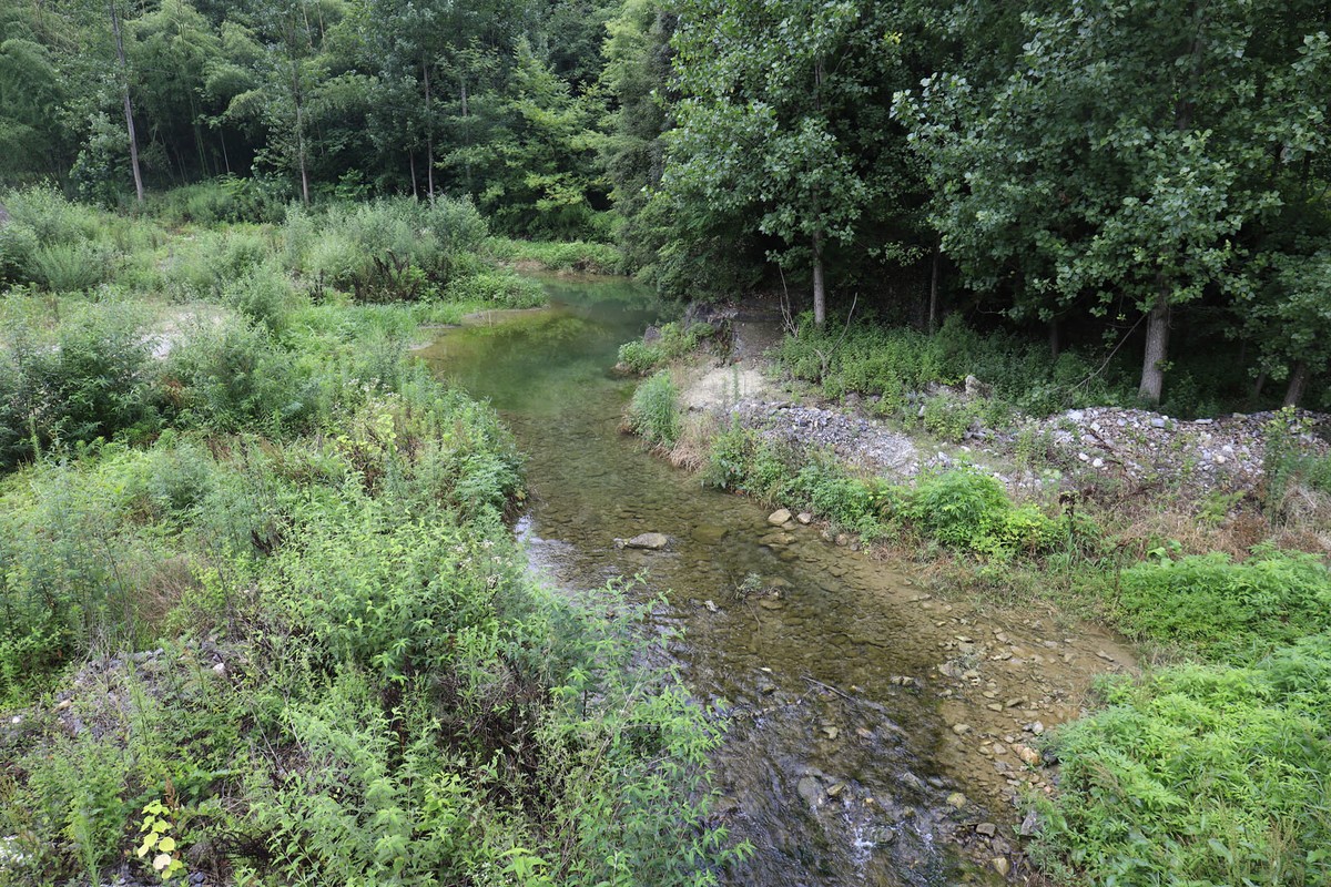 陕西商南的山山水水