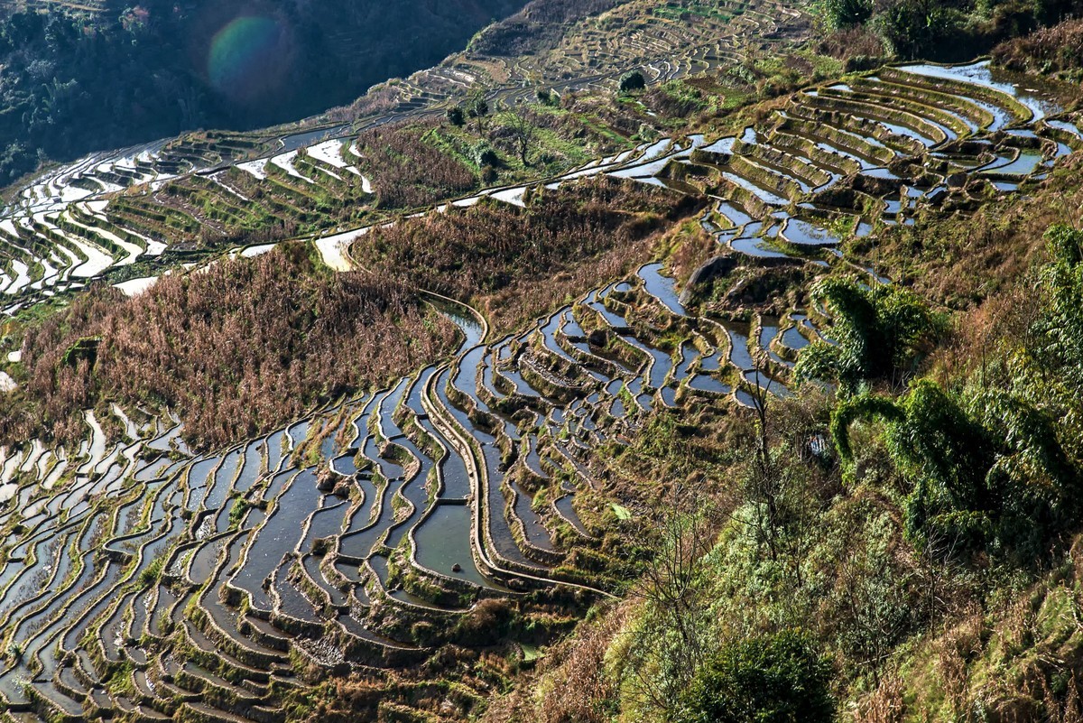 元江那诺梯田云海