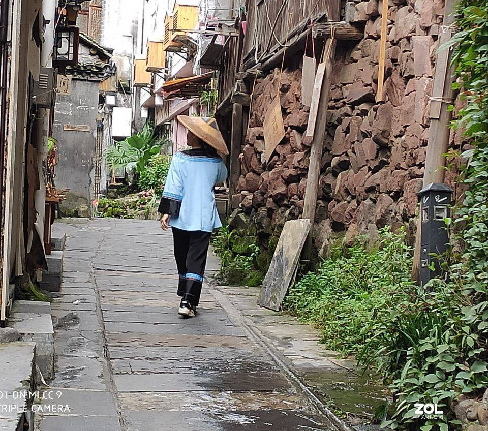 凤凰人！《老表作品之五》