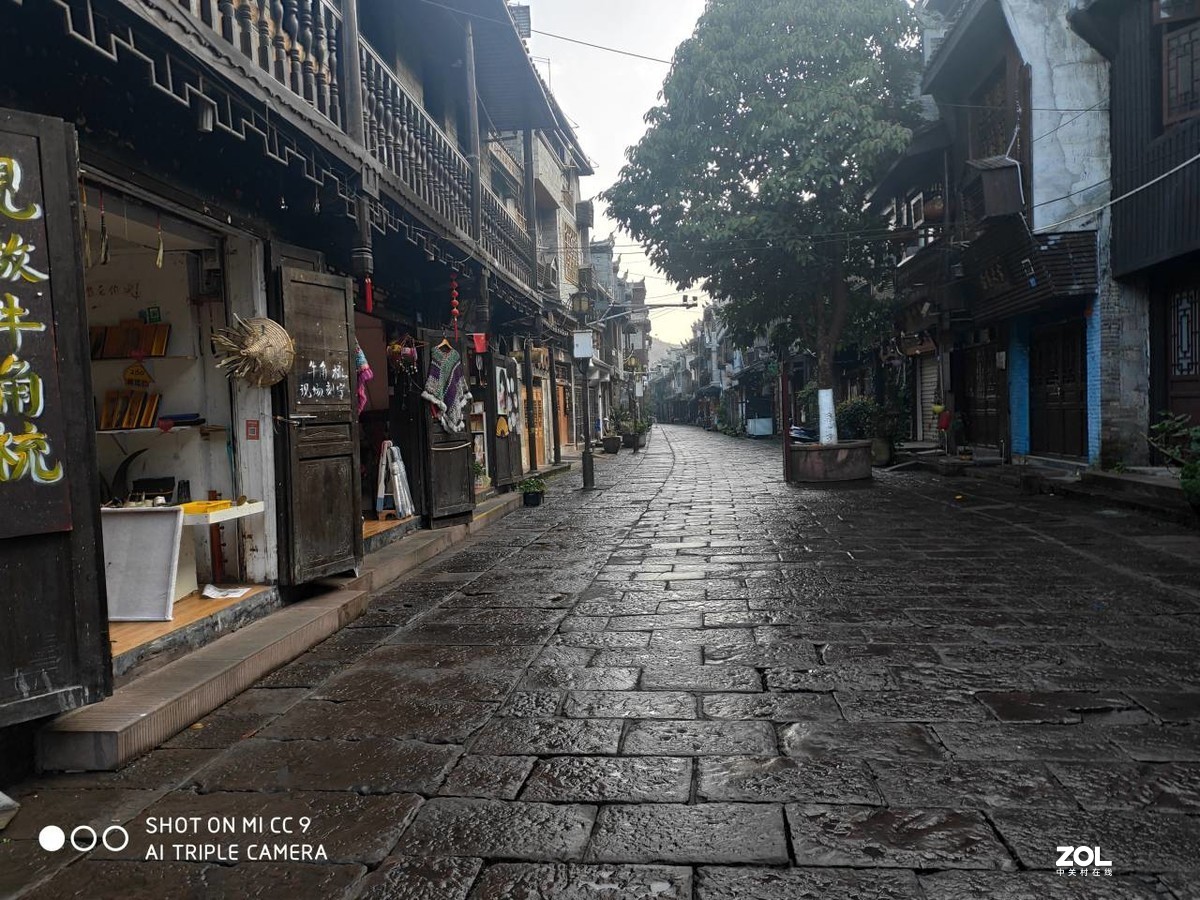 凤凰人！《老表作品之五》