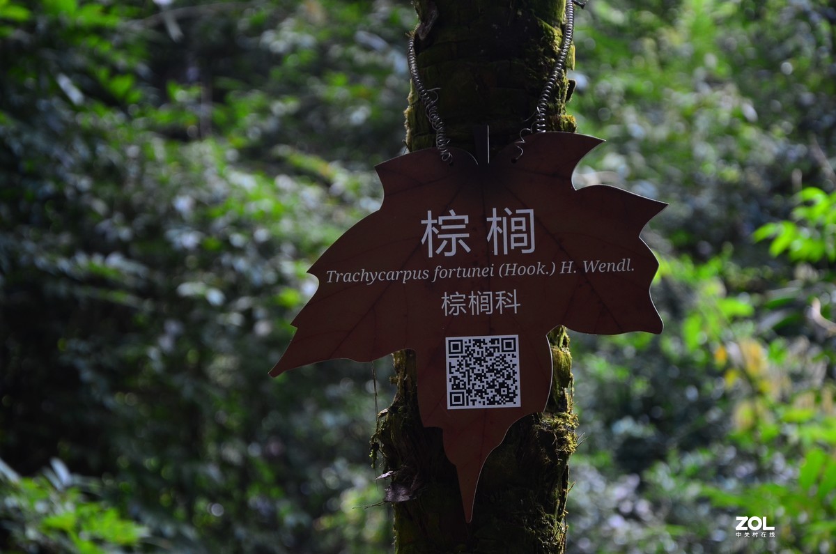 福建省三明尤溪县九阜山景区风光