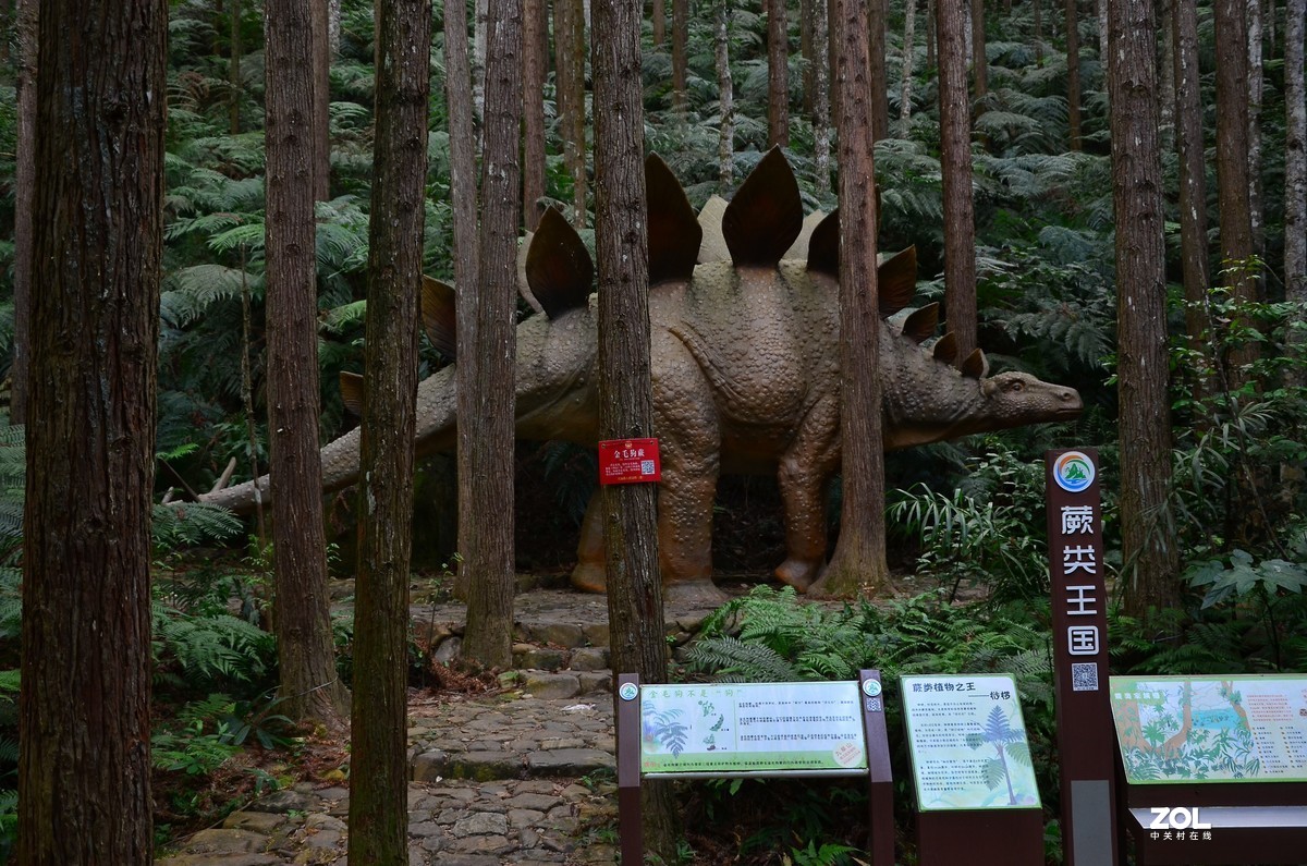 福建省三明尤溪县九阜山景区风光