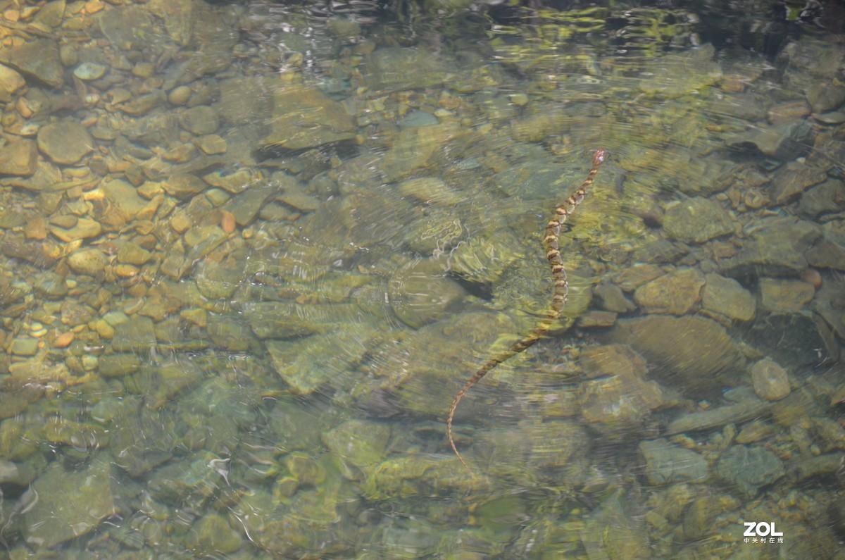 福建省三明尤溪县九阜山景区风光