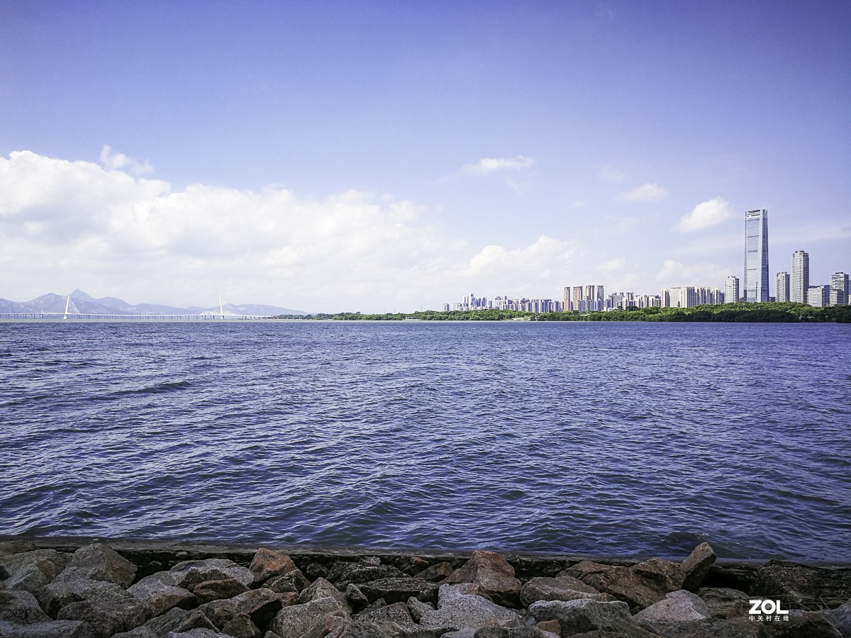 深圳湾红树林公园 ~ 掠影