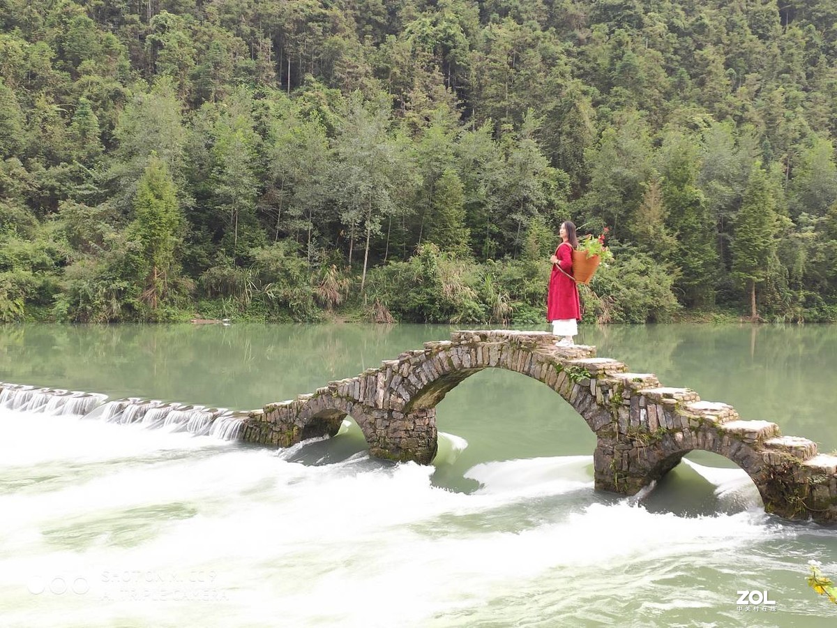 凤凰人！《老表作品之五》