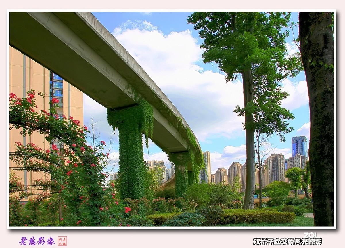 双桥子立交桥风景掠影(1)