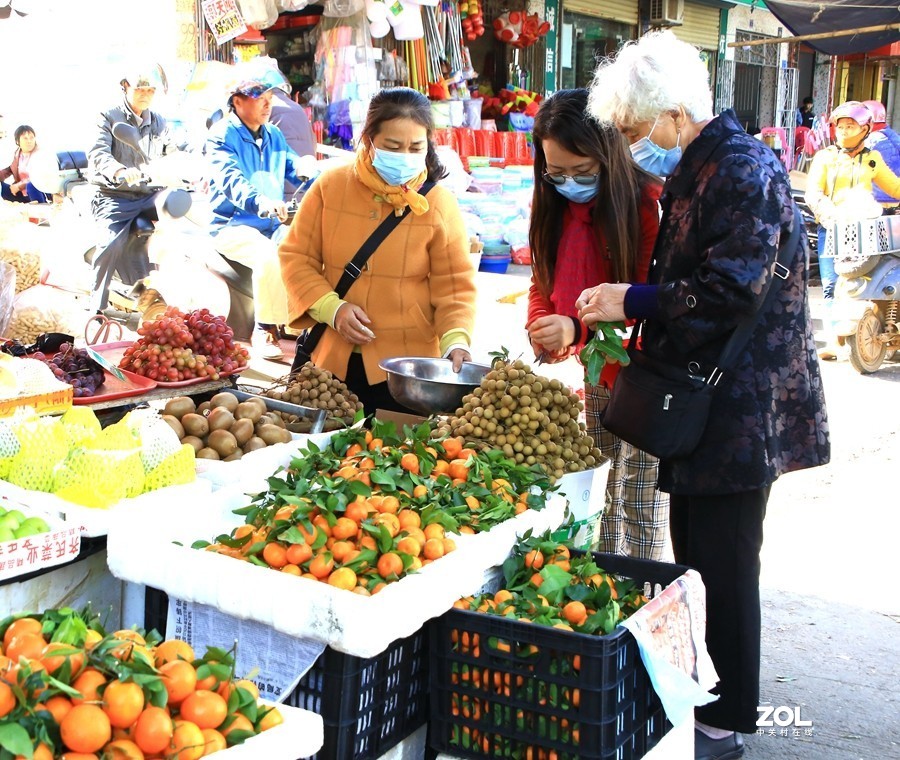 110【寿星老海南游摄日记】20.12.29海南兰島长湾居住，要买些东西要到二十里外的临髙