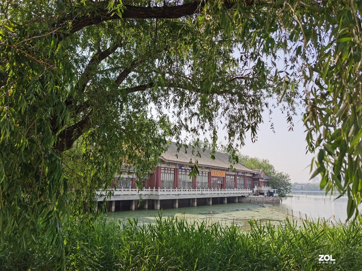 天津水上公园初夏采风：荣耀V30P