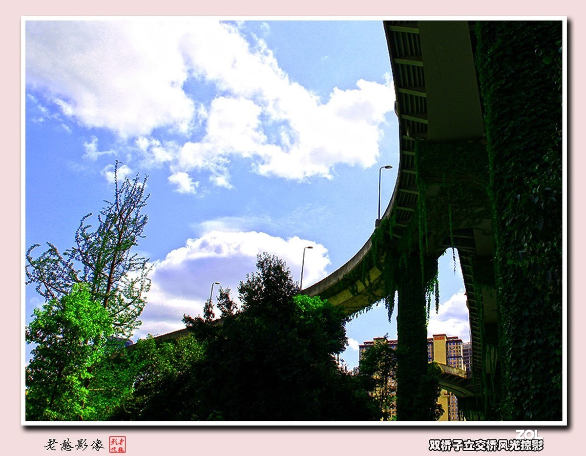 双桥子立交桥风景掠影(1)