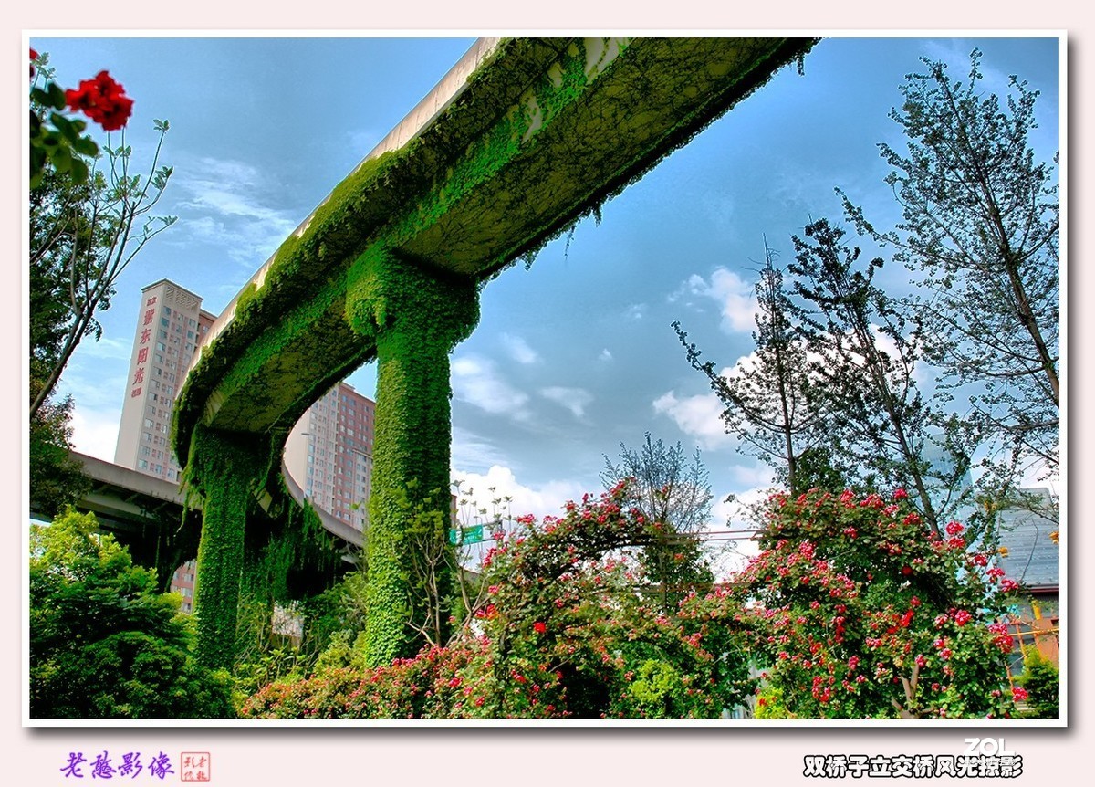 双桥子立交桥风景掠影(1)