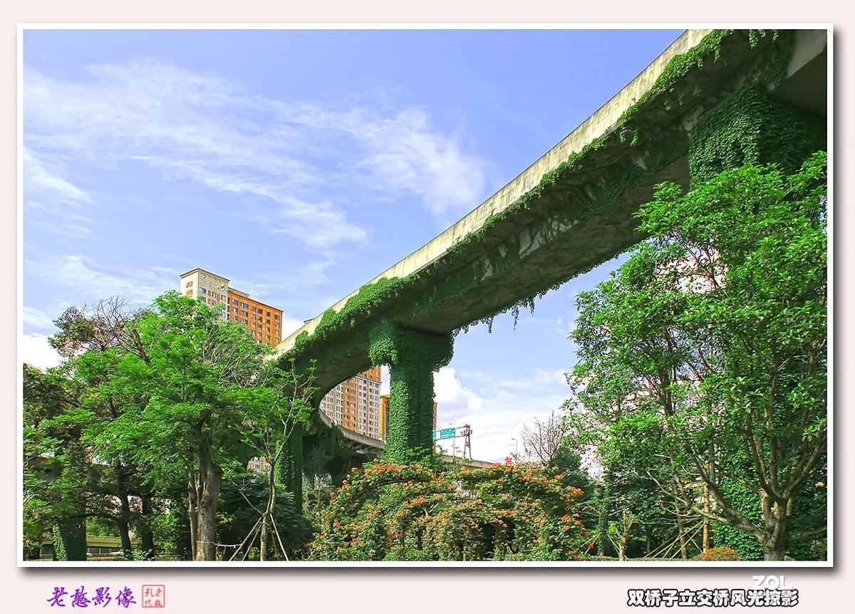 双桥子立交桥风景掠影(1)