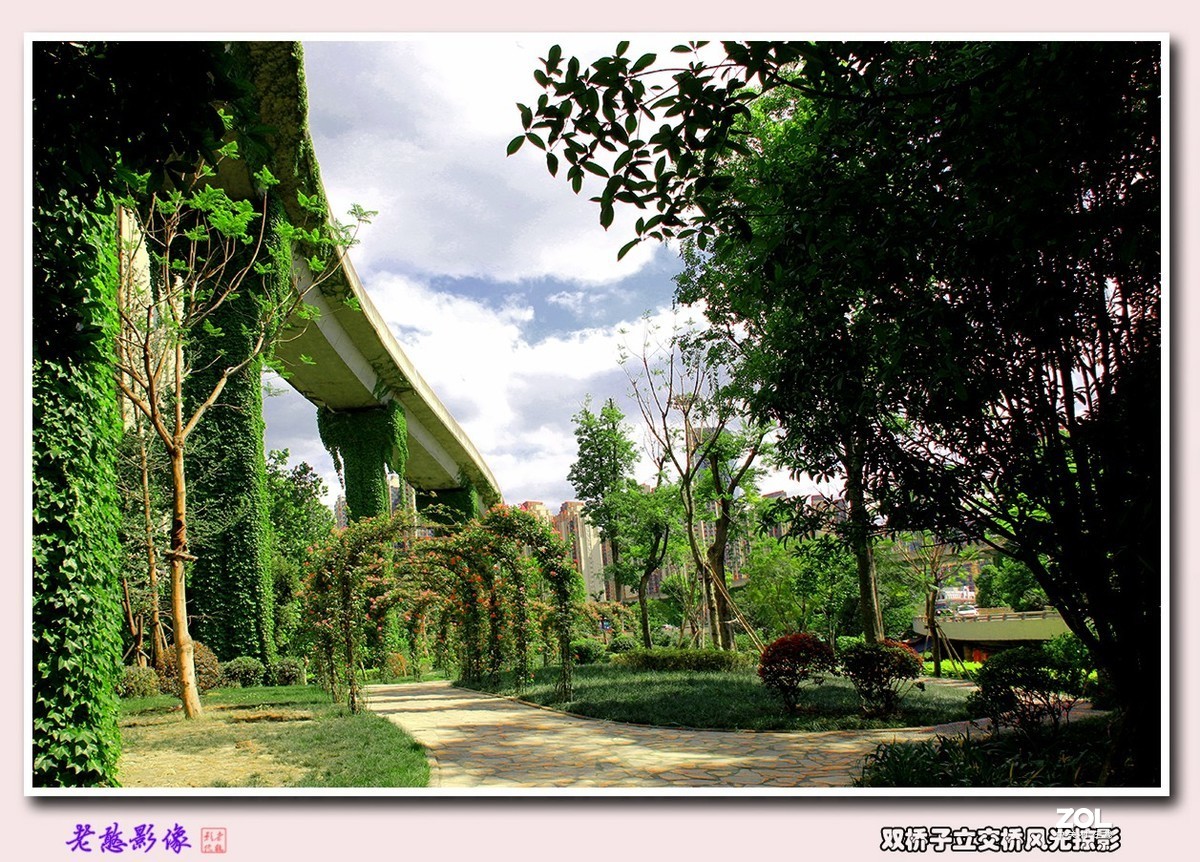 双桥子立交桥风景掠影(1)