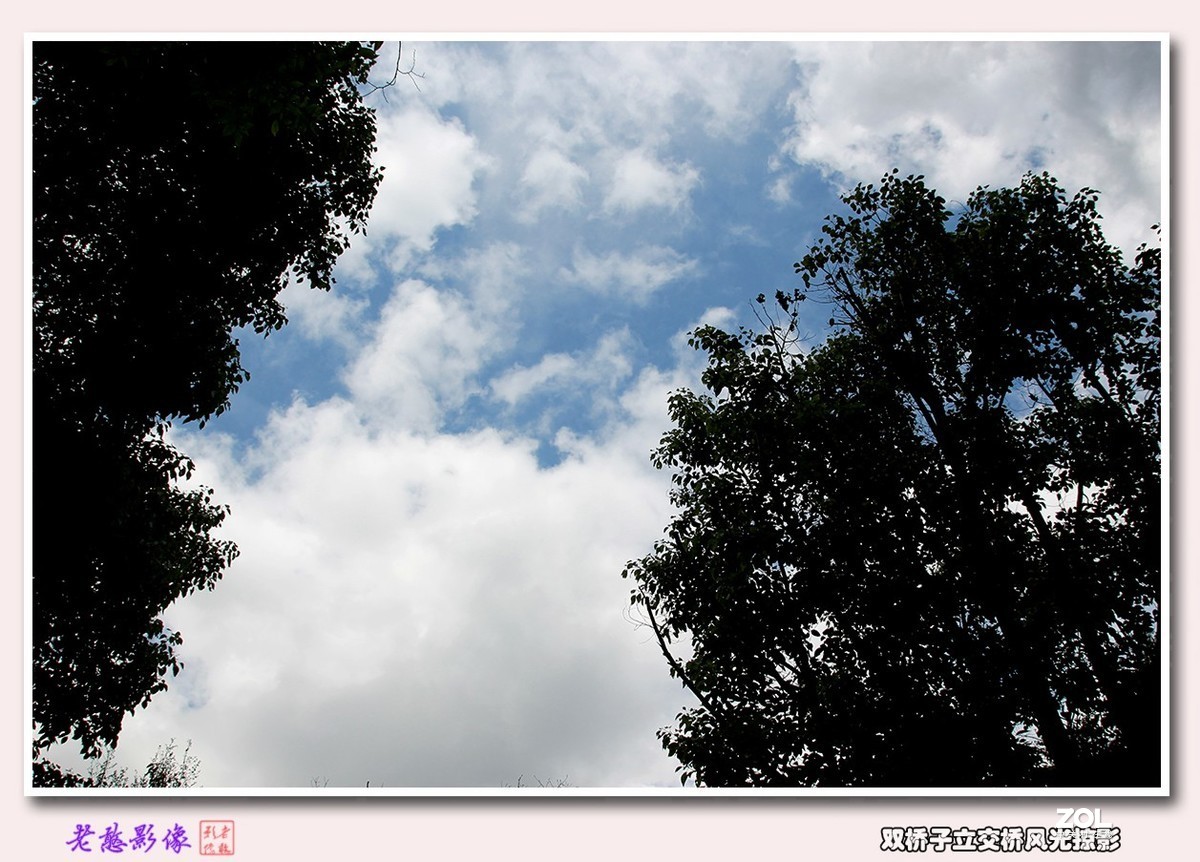 双桥子立交桥风景掠影(1)