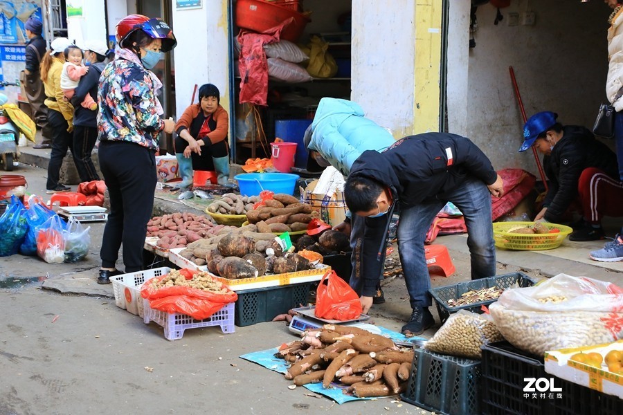 110【寿星老海南游摄日记】20.12.29海南兰島长湾居住，要买些东西要到二十里外的临髙