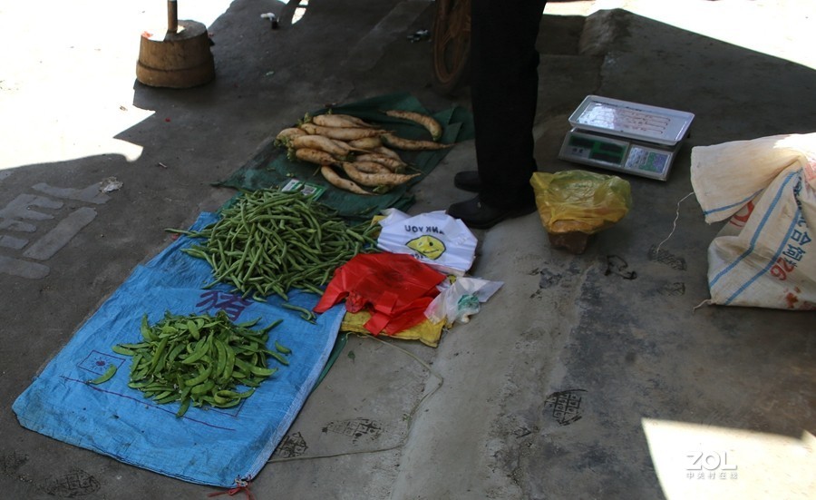 110【寿星老海南游摄日记】20.12.29海南兰島长湾居住，要买些东西要到二十里外的临髙