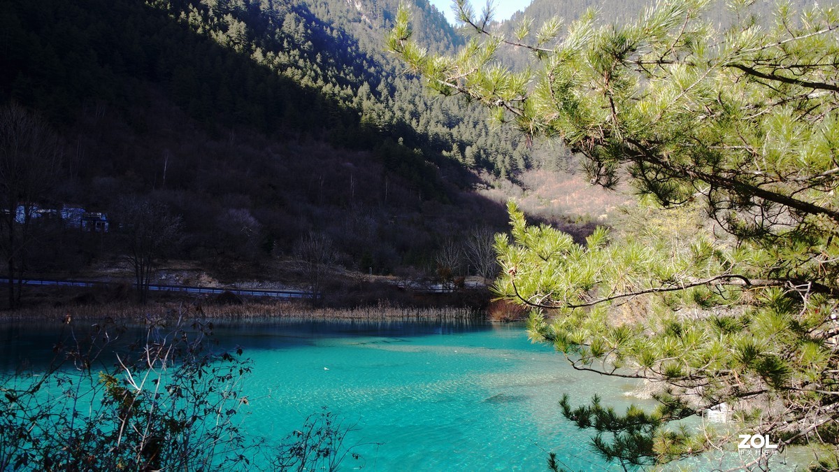 冬游九寨沟，风景别样美--双龙海【14】