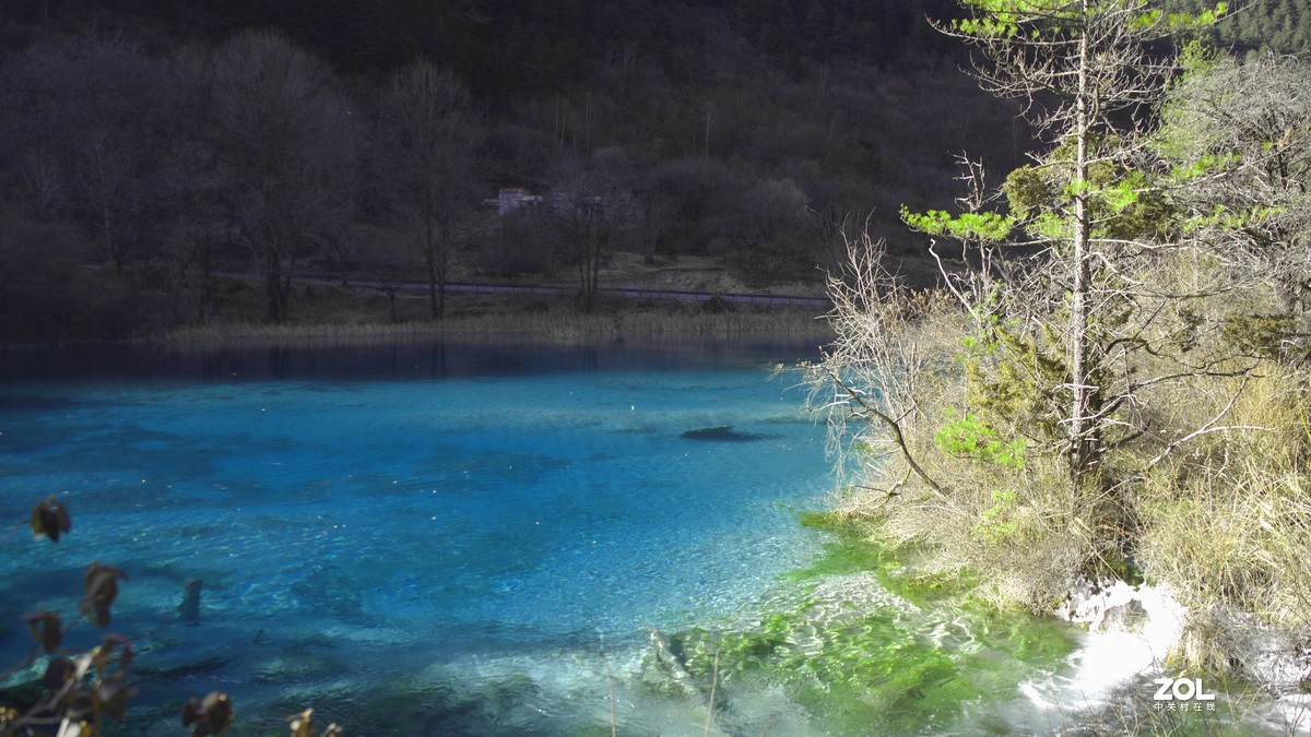 冬游九寨沟，风景别样美--双龙海【14】