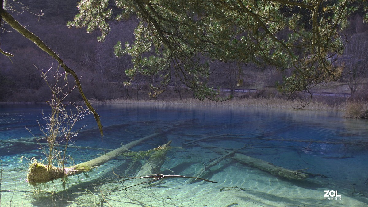 冬游九寨沟，风景别样美--双龙海【14】