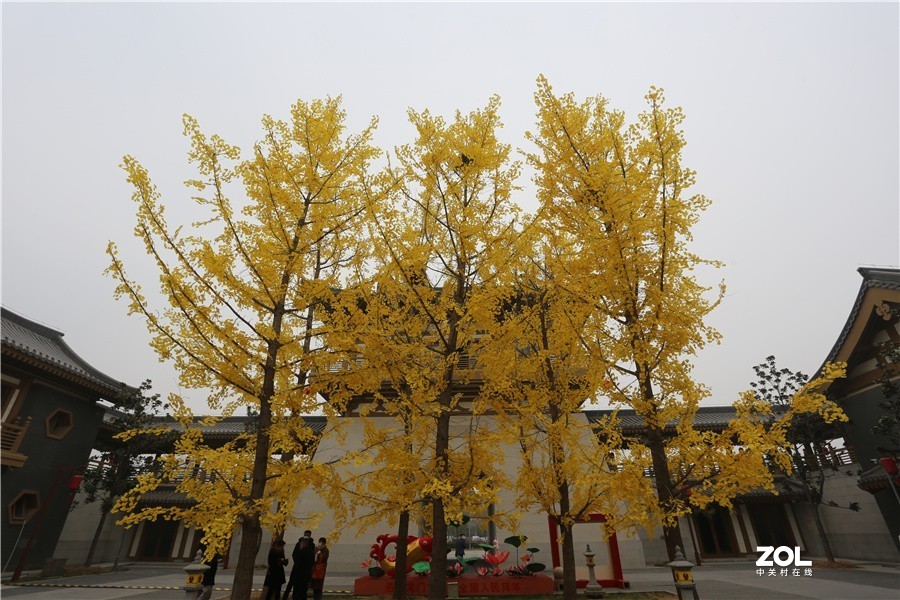 龙门景区古街欢歌笑语喜迎龙年新春佳节