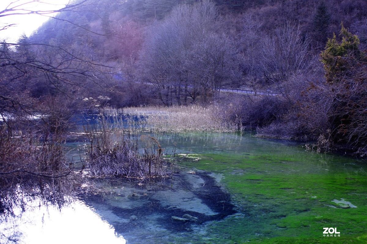 冬游九寨沟，风景别样美--双龙海【14】