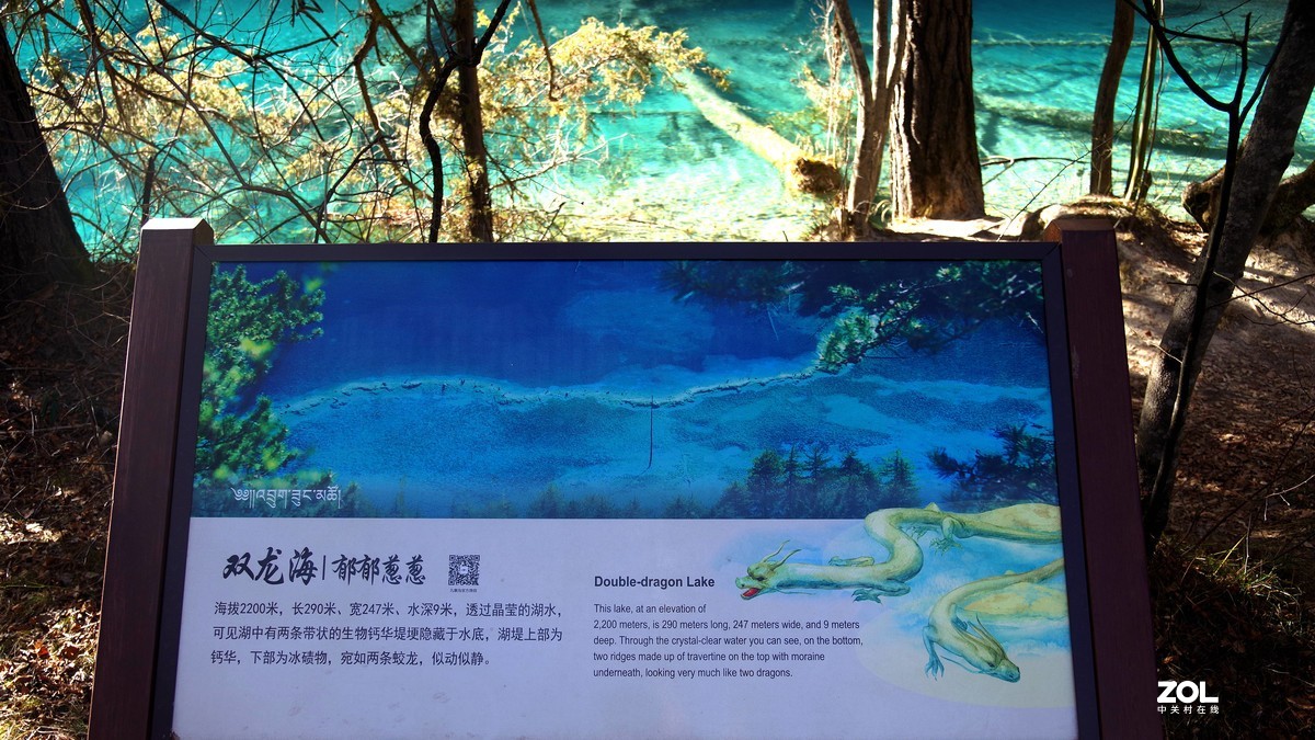 冬游九寨沟，风景别样美--双龙海【14】