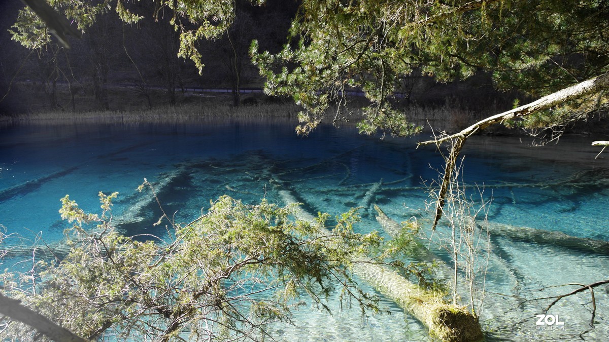 冬游九寨沟，风景别样美--双龙海【14】