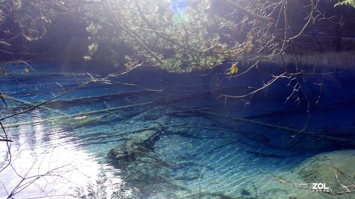 冬游九寨沟，风景别样美--双龙海【14】