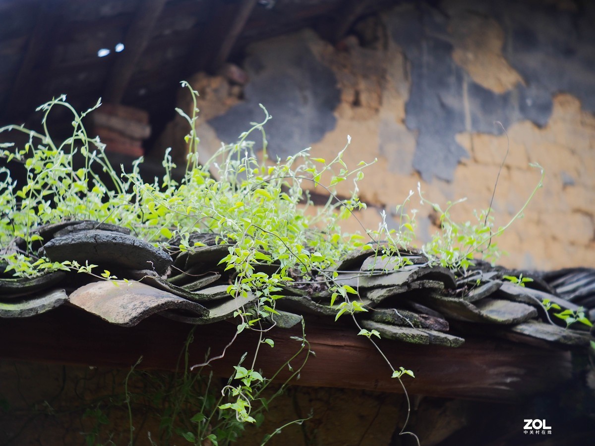 带小五观重点工程-?犬木塘水库工程九龙岭隧道