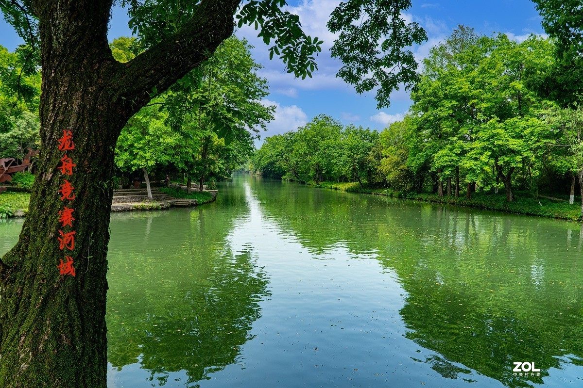 杭州西溪溼地水景拾零-中關村在線攝影論壇