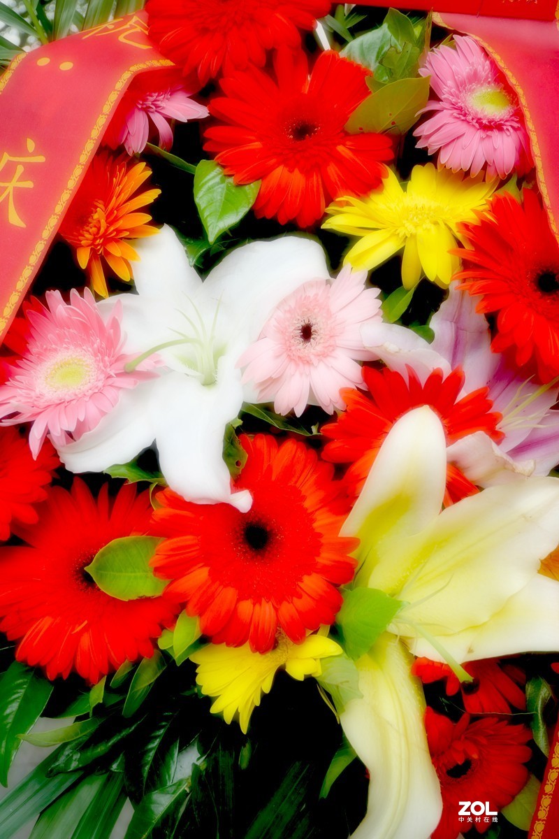 G100K套机 便携随拍  色彩浓郁